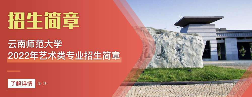 艺术类招生简章,云南师范大学,艺考