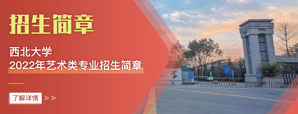艺术类招生简章,西北大学,艺考