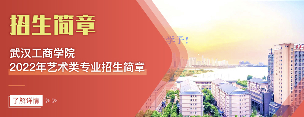 艺术类招生简章,武汉工商学院,艺考