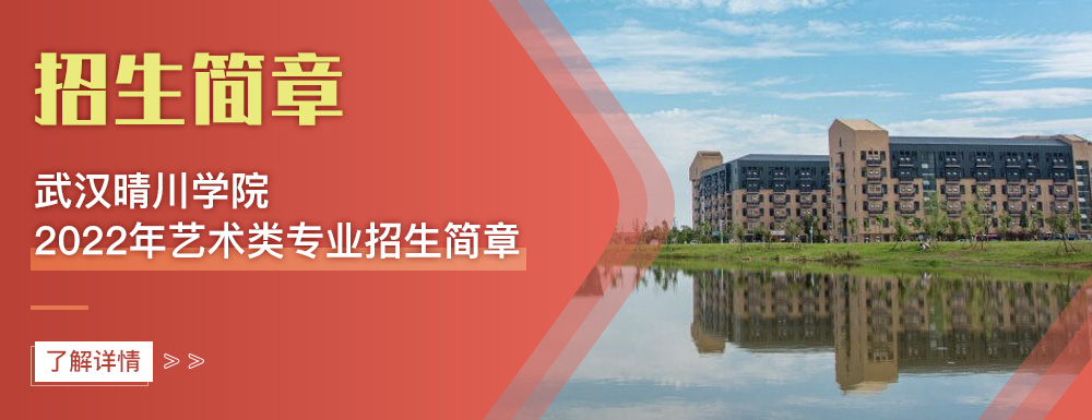 艺术类招生简章,武汉晴川学院,艺考