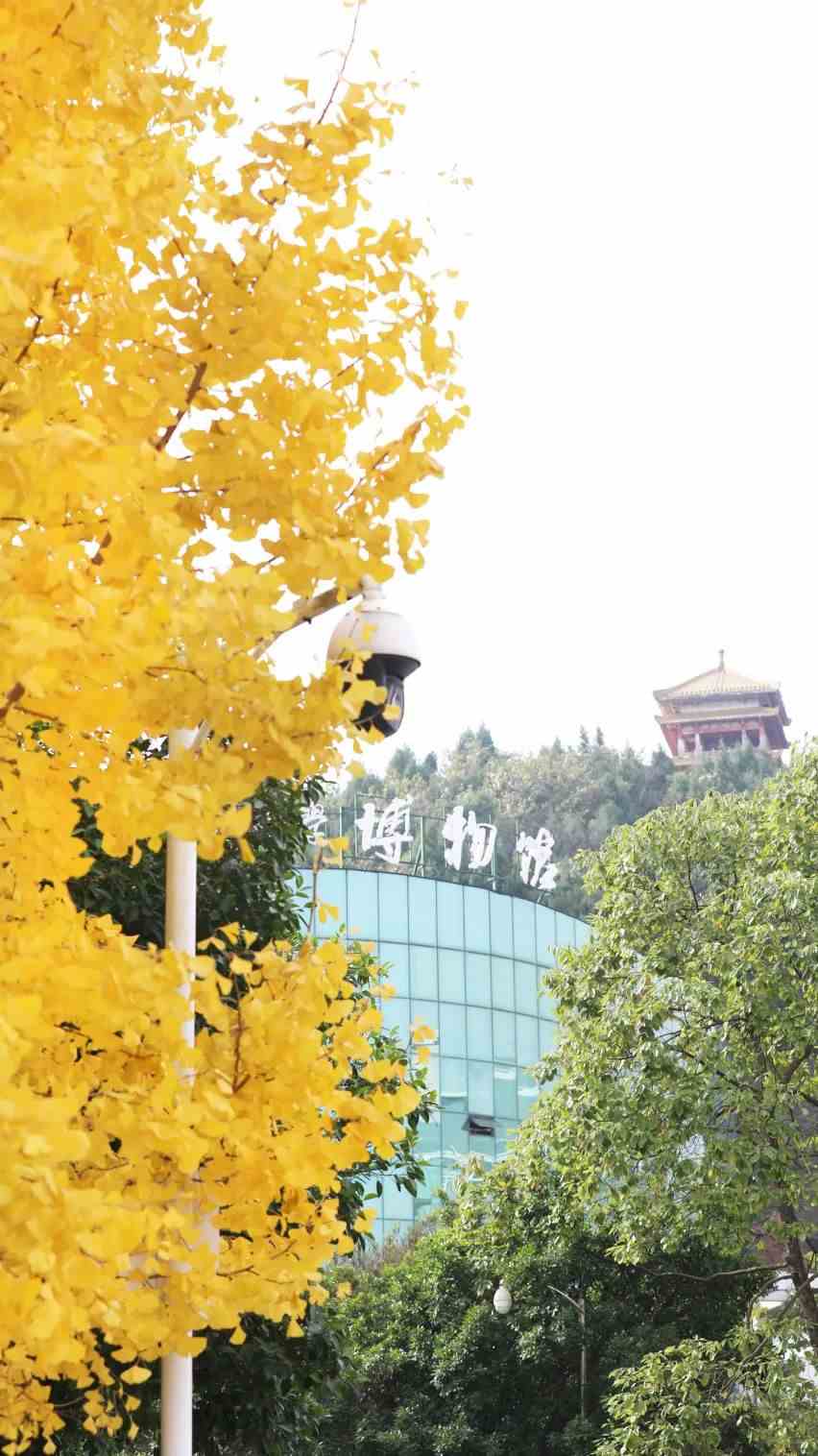 西华师范大学