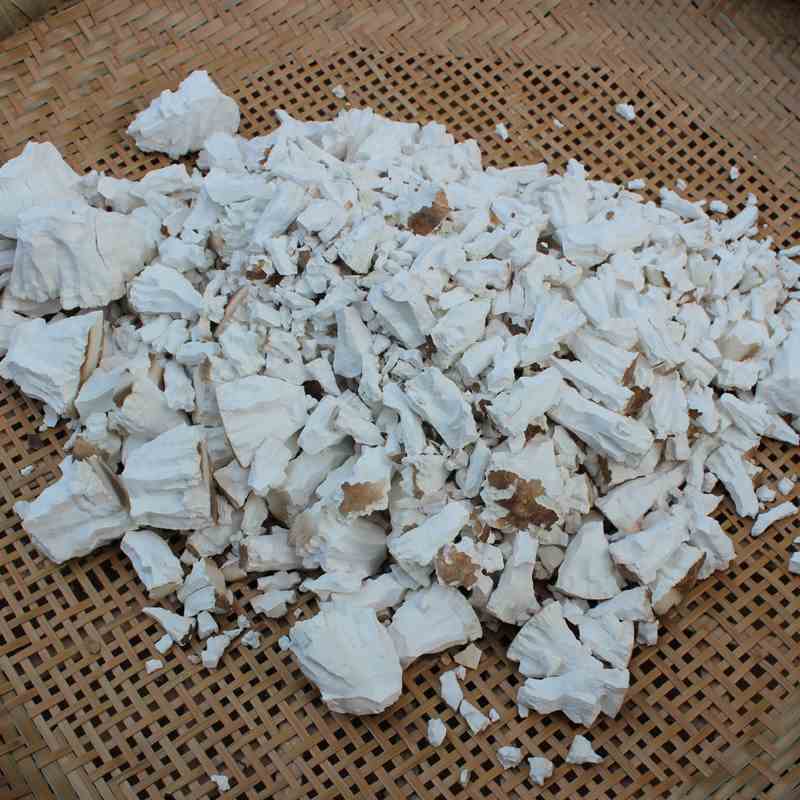 粉葛根的功效与作用(粉葛搭配什么煲汤去湿)
