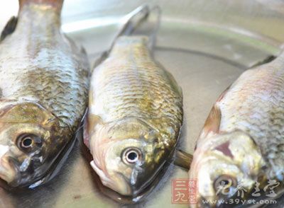 鲤鱼的营养价值及功效与作用(鲤鱼营养和功效与作用)