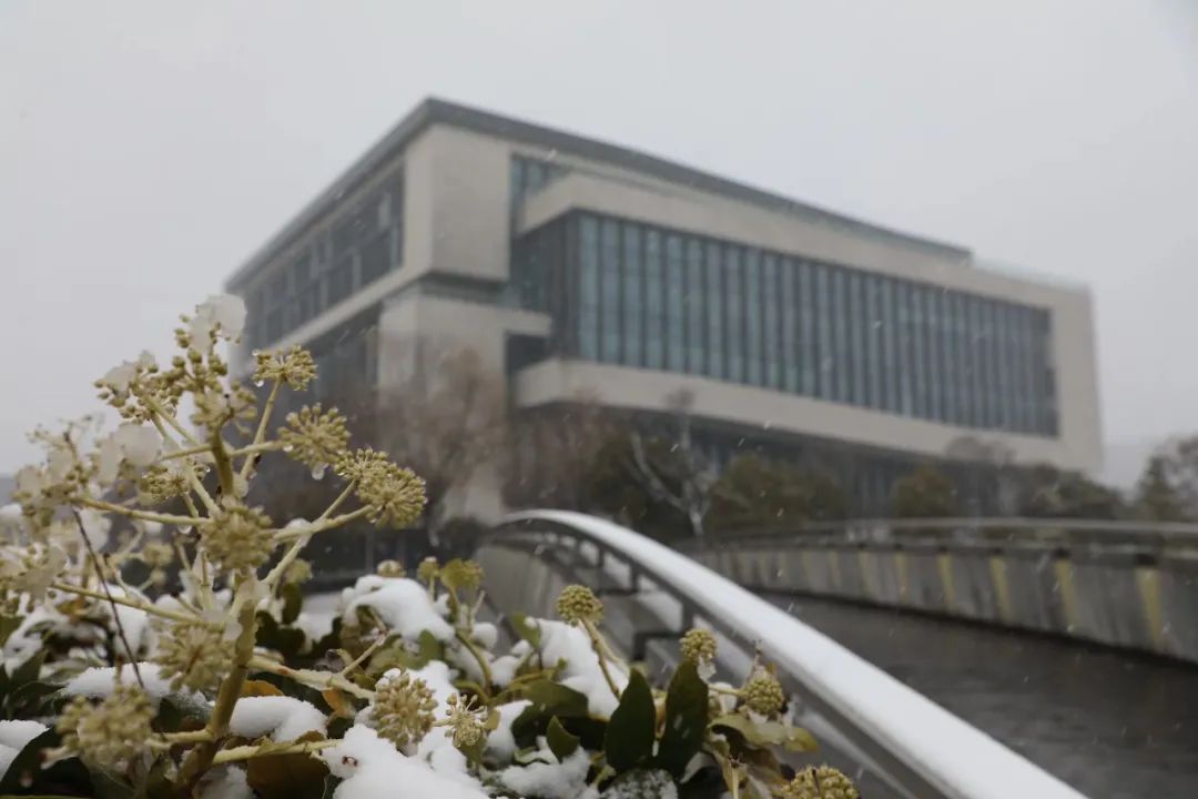 泰州学院