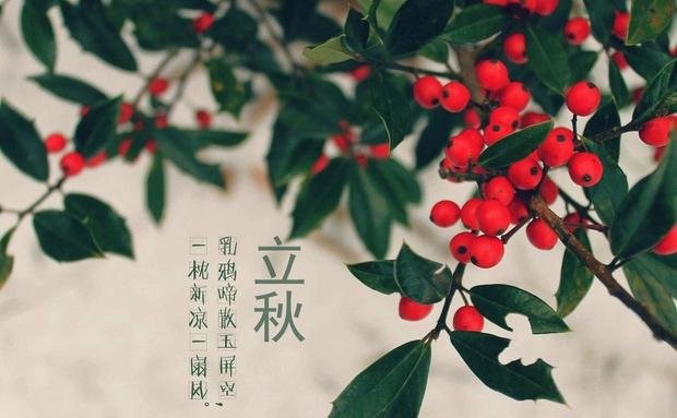 立秋唯美图片 立秋唯美图片,立秋好看图片