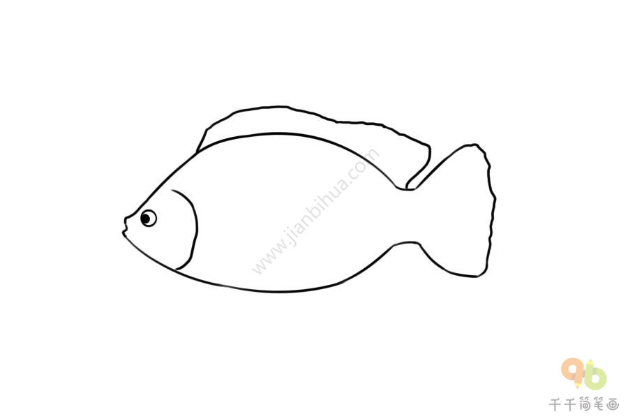 罗非鱼简笔画步骤图海洋动物简笔画