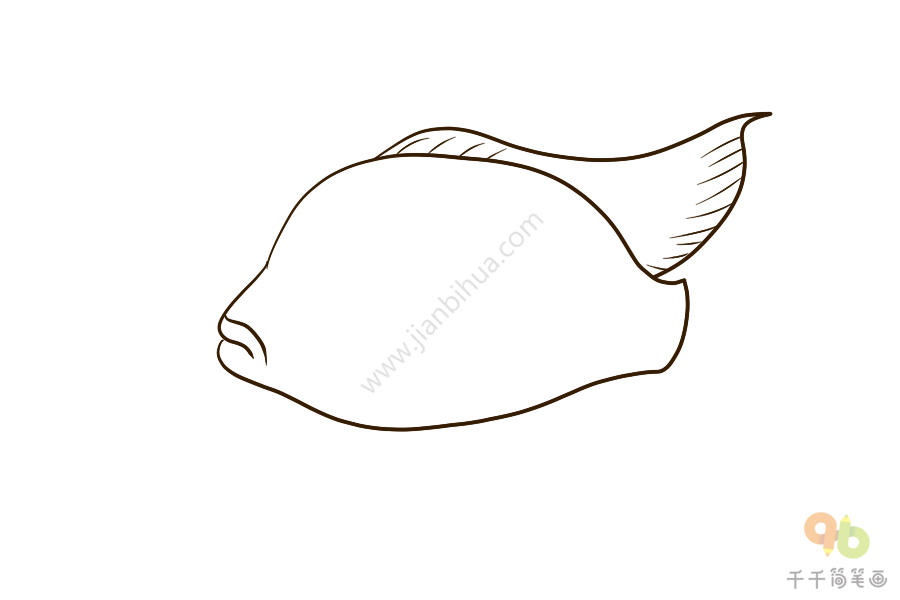 绿巨人神仙鱼简笔画图片海洋动物简笔画