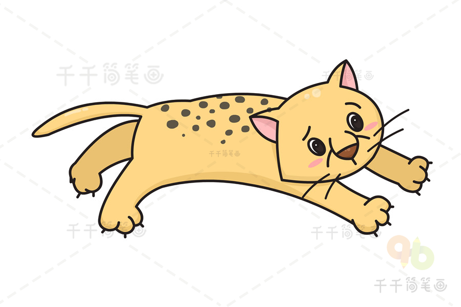 豹子的简笔画图片大全,豹子简笔画图片大全可爱彩色