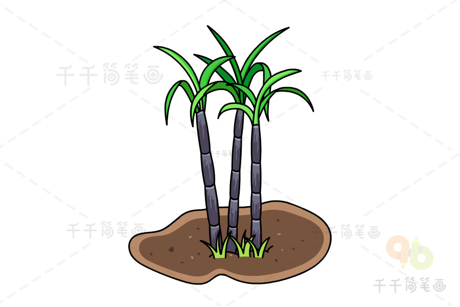 甘蔗简笔画农作物简笔画