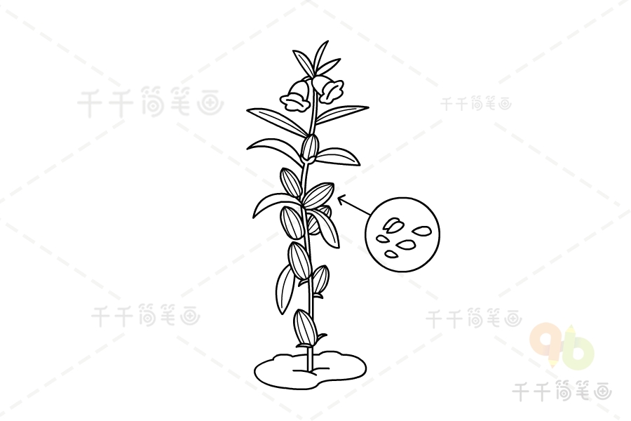 教你画芝麻简笔画农作物简笔画