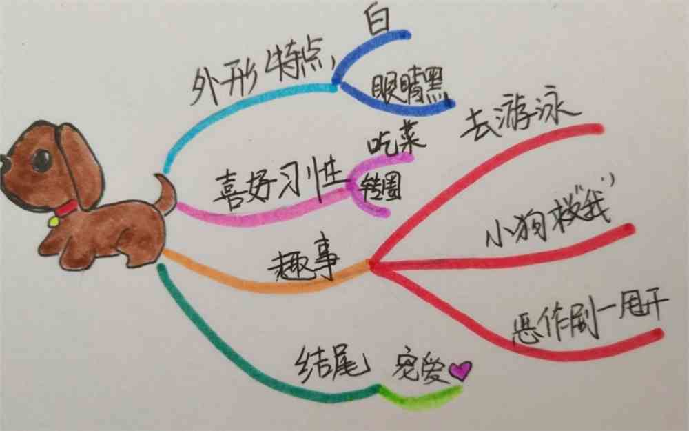 《我家的小狗》思维导图同学们可以先画一个思维导图,标记上你要写的