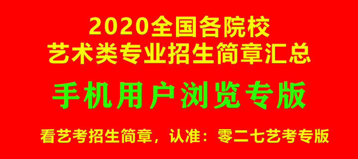 聊城大学,2020年艺术类专业招生简章,2020年艺考招生简章