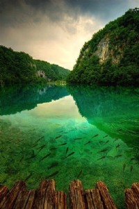 世界名城,克羅地亞國家公園,Plitvice Lakes
