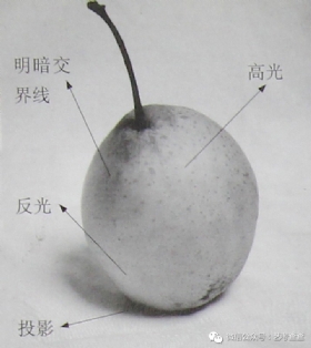 素描