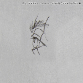 關于眼睛畫法