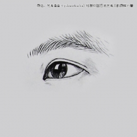 關于眼睛畫法