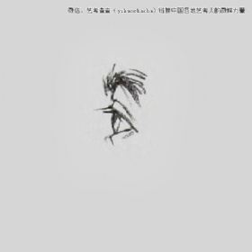 關于眼睛畫法