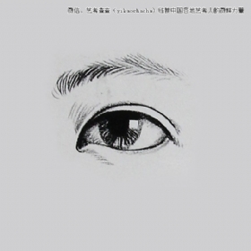 關于眼睛畫法