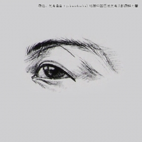 關于眼睛畫法