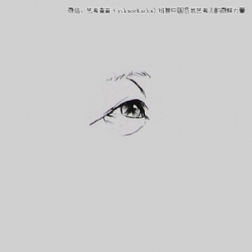 關于眼睛畫法