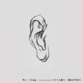关于耳朵画法