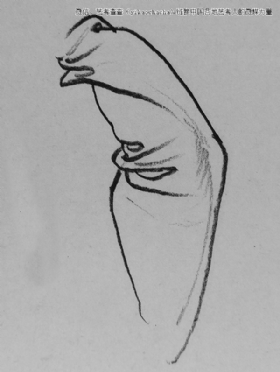 關于衣服畫法