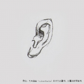 关于耳朵画法