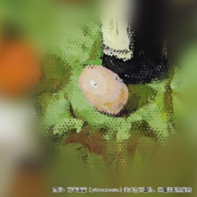 关于鸡蛋画法