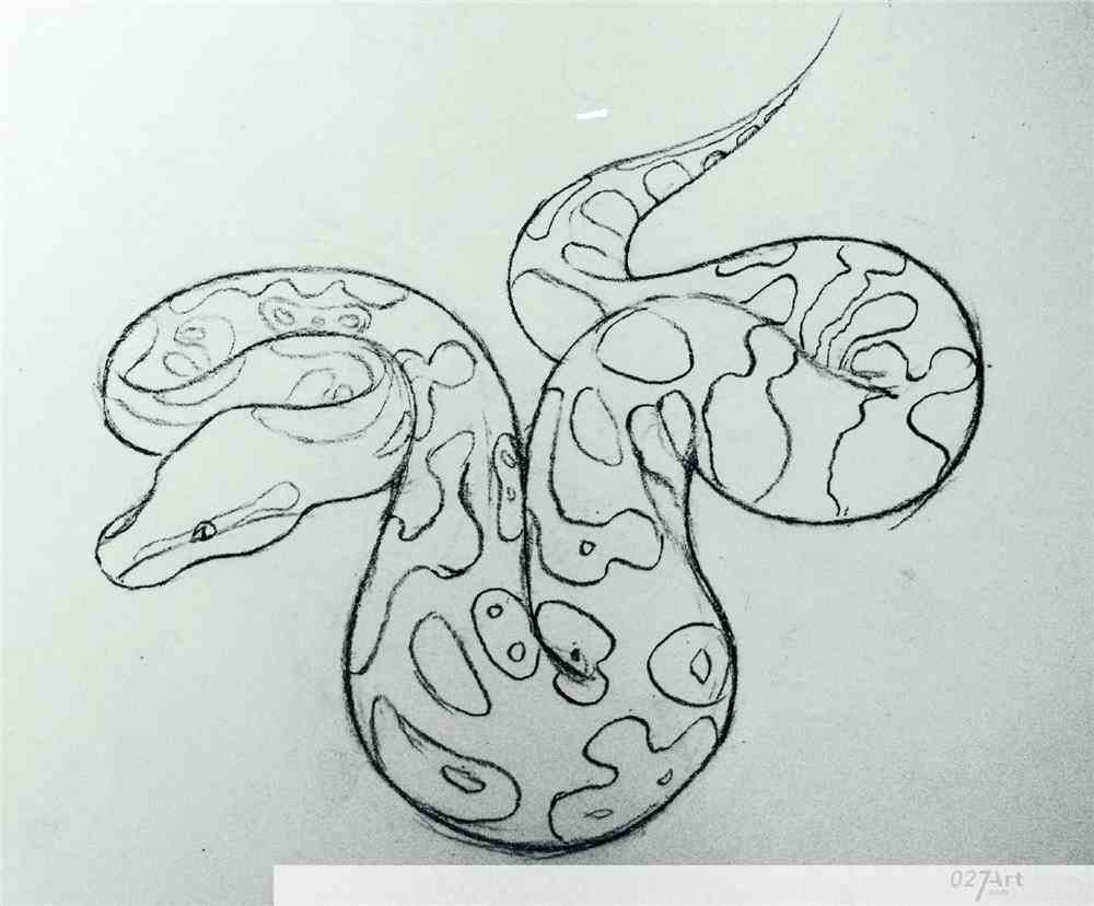 蛇儿童简笔画大全