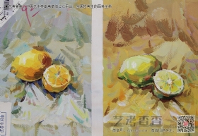 美術高考優秀試卷,川美優秀試卷,四川美術學院優秀試卷