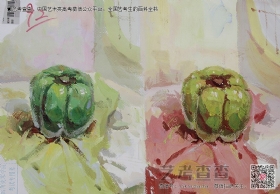 美術高考優秀試卷,川美優秀試卷,四川美術學院優秀試卷