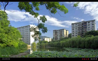 南大學2022陜西招生計劃,西南大學招生人