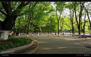 南大學2022西藏招生計劃,西南大學招生人