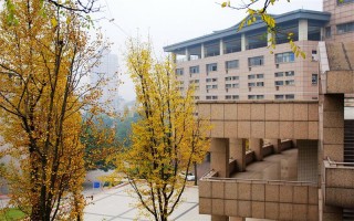 庆医科大学2022安徽招生计划,重庆医科大学招生人