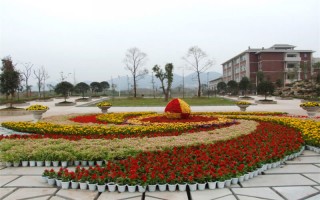庆医科大学2022黑龙江招生计划,重庆医科大学招生人
