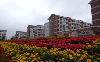 庆医科大学2022内蒙古招生计划,重庆医科大学招生人