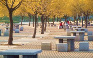 沈阳理工大学,2021年沈阳理工大学高水平运动队招生简章