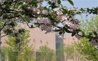 鄭州大學,錄取分數線,經濟學專業