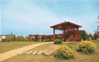 2021辽宁师范大学海华学院招生有哪些专业 什么专业就业好