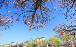 林大学2022山东招生计划,吉林大学招生人