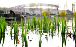 鄭州大學,錄取分數線,新聞傳播學類專業