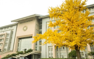河北物理类,郑州大学教育学类,602分能考上郑州大学吗