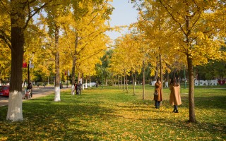 国人民大学2022北京招生计划,中国人民大学招生人