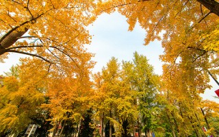 国人民大学2022内蒙古招生计划,中国人民大学招生人