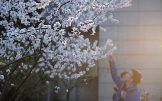 中国人民大学,艺考录取原则