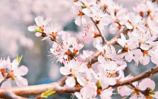 国人民大学2022吉林招生计划,中国人民大学招生人
