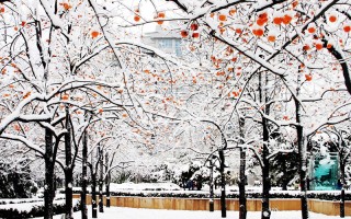 2022北京理工大學好就業專業排名及錄取分數線