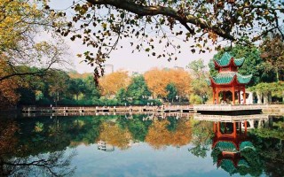 南大學2022北京招生計劃,中南大學招生人