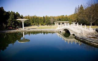 安交通大学2022吉林招生计划,西安交通大学招生人