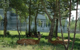 内蒙古科技大学,内蒙古科技大学2021年高水平运动员招生简章